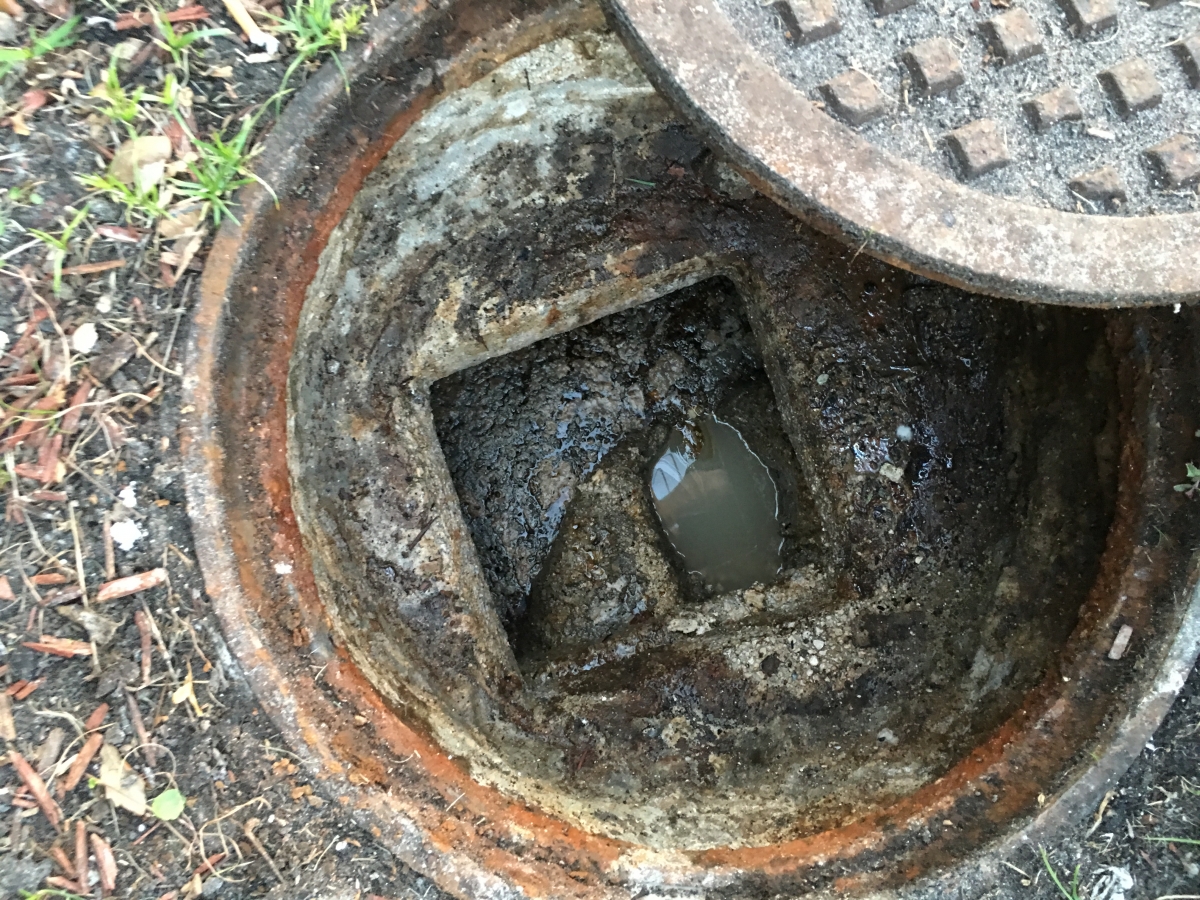 How can you fix a clogged septic drain field?