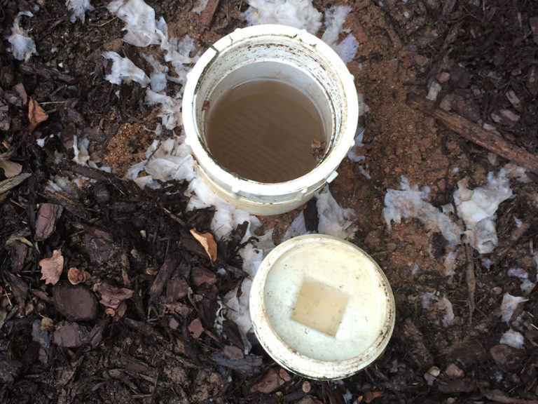 mainlinecleanout Rooter Sewer Drain Man