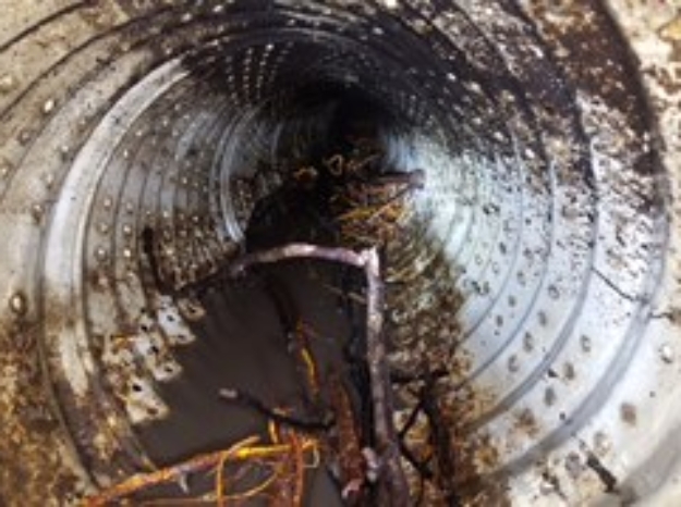 French Drain cleaning. We clean frech drains that are clogged. We de root the drains with speacil hydro jetting nozzles on a sewer jet or hydro jet. We flush the dirt, roots out so the storm water can drain into the ground.