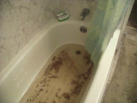 If your tub is clogged and is backed up, it may be sewege from the home plumbing backing up.